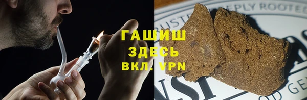 ПСИЛОЦИБИНОВЫЕ ГРИБЫ Заводоуковск