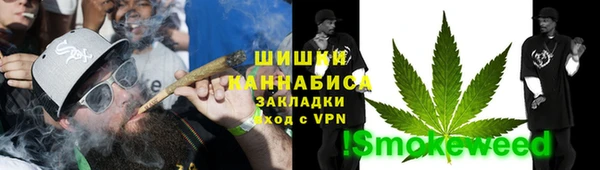 ГАЛЛЮЦИНОГЕННЫЕ ГРИБЫ Заволжск