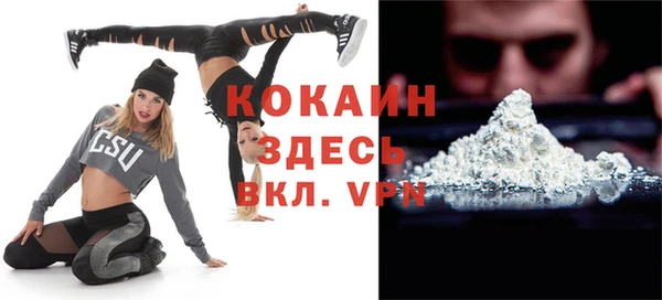 ALPHA PVP Ельня