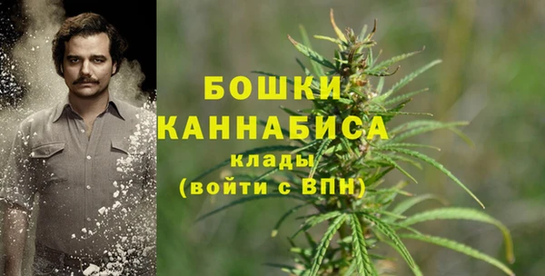 ALPHA PVP Ельня