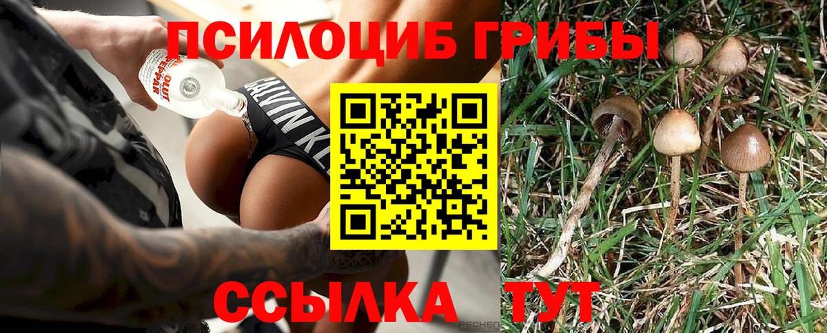 Галлюциногенные грибы Magic Shrooms Лениногорск